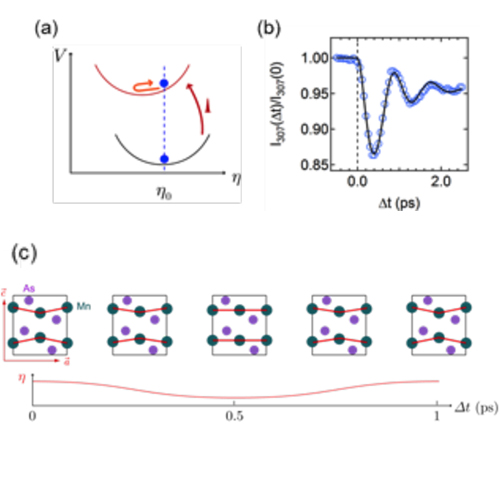 a) Schéma du principe de l’excitation de phonons cohérents par l’impulsion laser, (b) évolution temporelle de l’intensité de la réflexion de Bragg 307, (c) mouvements atomiques dans la maille de MnAs correspondant au mode sondé.