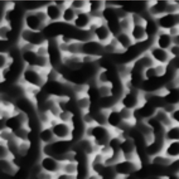 Image MEB de la surface du silicone noir