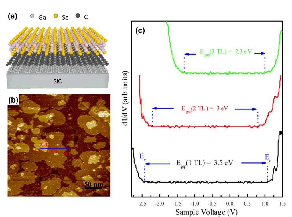 Growth and properties of hybrid thin film systems - MBE growth of 2D ...