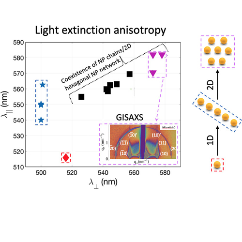 Evolution de l’anisotropie d’absorption de la lumière par les nanoparticules d’or.
