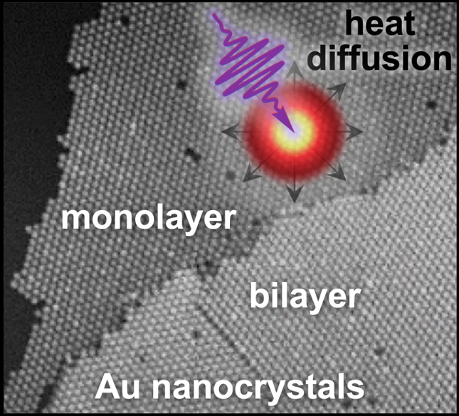 Feldman et al Adv. Funct. Mater.