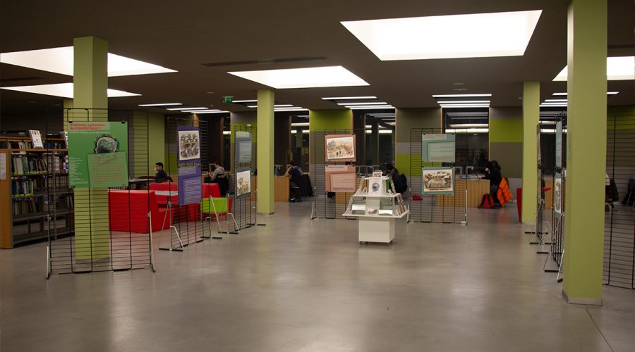 expo_SC_CONSCIENCE_3